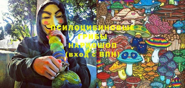 героин Алексин