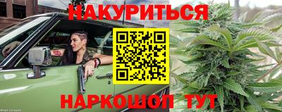 гидра Малгобек