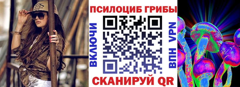 Галлюциногенные грибы Psilocybine cubensis  Скопин 