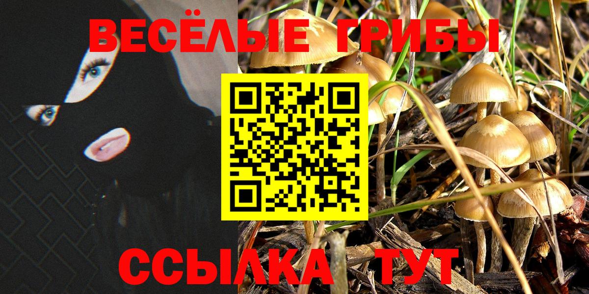 Псилоцибиновые грибы Cubensis Скопин