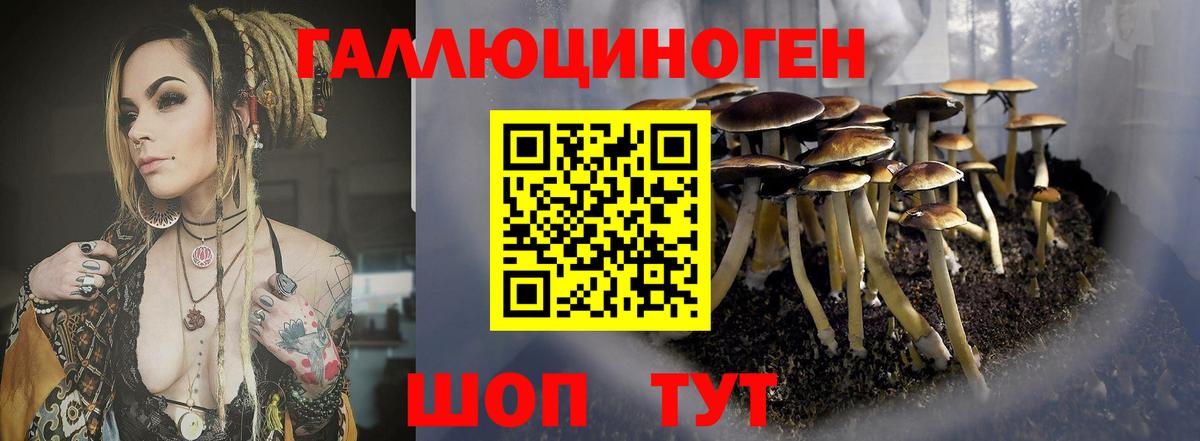 Скопин  Галлюциногенные грибы MAGIC MUSHROOMS  Вход с VPN 